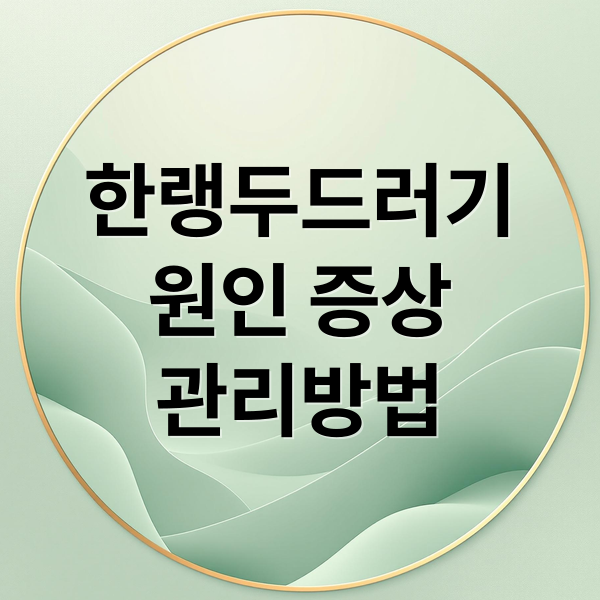 thumbnail 1766822353325 sakyd1ov2o